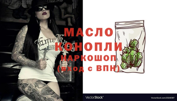 дживик Каменка
