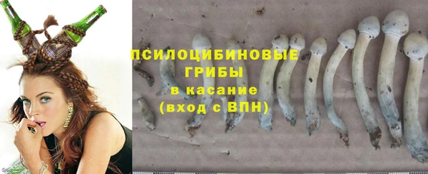 PSILOCYBIN Каменск-Шахтинский