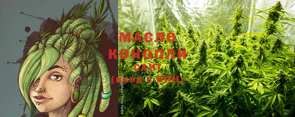 дживик Каменка