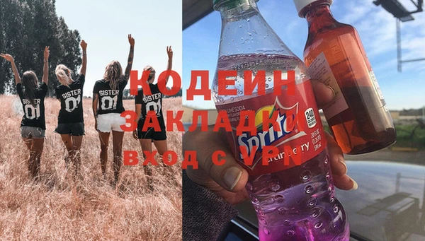 мяу мяу мука Инсар