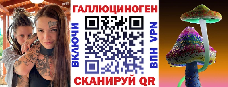 Псилоцибиновые грибы Psilocybe  Купить  Нестеров 